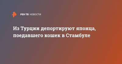 Из Турции депортируют японца, поедавшего кошек в Стамбуле - ren.tv - Токио - Турция - Япония - Стамбул