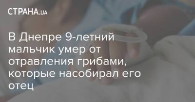Алексей Власов - В Днепре 9-летний мальчик умер от отравления грибами, которые насобирал его отец - strana.ua - Днепропетровск - Днепр