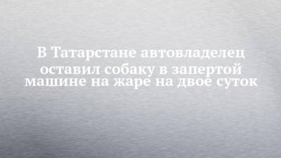 В Татарстане автовладелец оставил собаку в запертой машине на жаре на двое суток - chelny-izvest.ru - респ. Татарстан - Казань