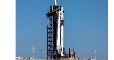 Илон Маск - Илон Маск - Глобальный интернет Starlink Илона Маска появится в сентябре, – Reuters - focus.ua