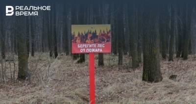 В Татарстане авиапатруль следит за пожарной ситуацией в лесах - realnoevremya.ru - респ. Татарстан
