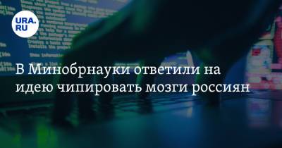 В Минобрнауки ответили на идею чипировать мозги россиян - ura.news