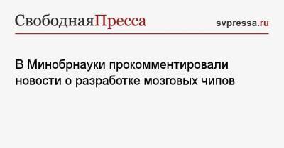 Владимир Путин - В Минобрнауки прокомментировали новости о разработке мозговых чипов - svpressa.ru