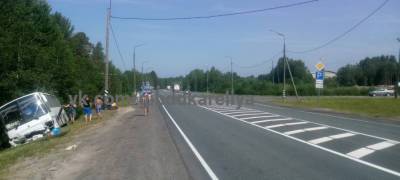 В Карелии водитель автобуса отвлекся и вылетел в кювет - stolicaonego.ru - Петрозаводск - республика Карелия
