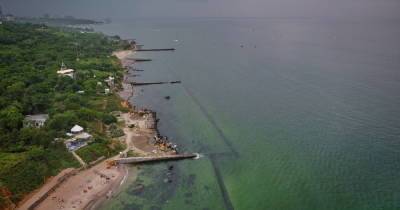 "50 оттенков зеленого": в Одессе "зацвело" море (ФОТО, ВИДЕО) - dsnews.ua - Одесса - Черное Море