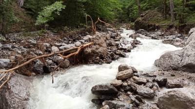 Виктор Яцуценко - В Ялте подтапливающая город вода вернулась в русла рек - inforeactor.ru - Крым - Керчь