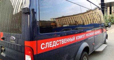Ольга Врадий - Тела двух вьетнамок нашли в землянке в Подмосковье - moslenta.ru - Москва - Московская обл.