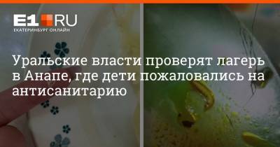 Уральские власти проверят лагерь в Анапе, где дети пожаловались на антисанитарию - e1.ru - Анапа - Екатеринбург - Свердловская обл.