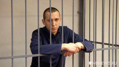 Владимир Васильев - Апелляции по делу Владимира Васильева о смертельном ДТП поступили в облсуд - newdaynews.ru - Екатеринбург