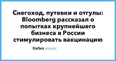 Снегоход, путевки и отгулы: Bloomberg рассказал о попытках крупнейшего бизнеса в России стимулировать вакцинацию - forbes.ru - Россия