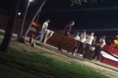 В Астрахани возбудили уголовное дело по факту массовой драки в скейт- парке - ast.mk.ru - Астрахань - Астраханская обл.