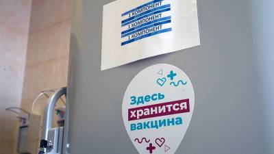 Владимир Путин - Анастасия Ракова - Ракова назвала сроки поступления «Спутник Лайт» для вакцинации иностранцев - iz.ru - Москва