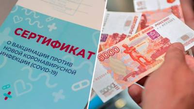 «Ответственность могут понести и покупатели»: как работает чёрный рынок сертификатов о вакцинации от COVID-19 - russian.rt.com
