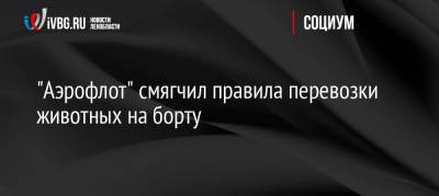 «Аэрофлот» смягчил правила перевозки животных на борту - ivbg.ru