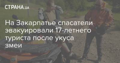 На Закарпатье спасатели эвакуировали 17-летнего туриста после укуса змеи - strana.ua - район Мукачевский