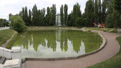 В Воронеже в обновлённом за 7 млн рублей озере на Минской едва не утонул ребёнок - vestivrn.ru - Воронеж
