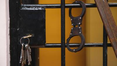 Ирина Волк - Подозреваемых в продаже фальшивых сертификатов о вакцинации задержали в Москве - mir24.tv - Москва