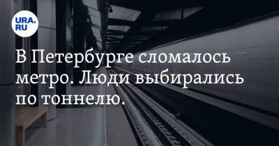 В Петербурге сломалось метро. Люди выбирались по тоннелю. Видео - ura.news - Санкт-Петербург - окр. Дальневосточный