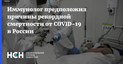 Владислав Жемчугов - Иммунолог предположил причины рекордной смертности от COVID-19 в России - nsn.fm