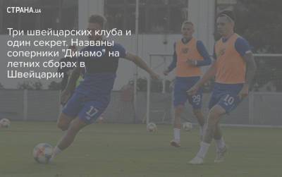 Мирча Луческ - Три швейцарских клуба и один секрет. Названы соперники "Динамо" на летних сборах в Швейцарии - strana.ua - Австрия - Киев - Швейцария - Донецк - Луческ