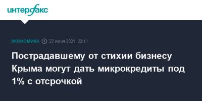 Ирина Кивико - Пострадавшему от стихии бизнесу Крыма могут дать микрокредиты под 1% с отсрочкой - interfax.ru - Москва - Крым - Керчь