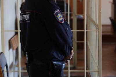 Суд приговорил к двум годам участников митинга 23 января по делу об избиении полицейского - znak.com - Москва - Тверь