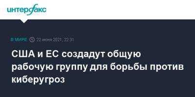 Алехандро Майоркас - США и ЕС создадут общую рабочую группу для борьбы против киберугроз - interfax.ru - Москва - США - Лиссабон