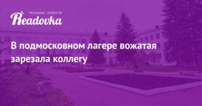 В подмосковном лагере вожатая зарезала коллегу - readovka.ru - Московская обл. - район Пушкинский