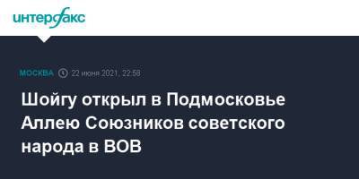 Сергей Шойгу - Шойгу открыл в Подмосковье Аллею Союзников советского народа в ВОВ - interfax.ru - Москва - Московская обл.