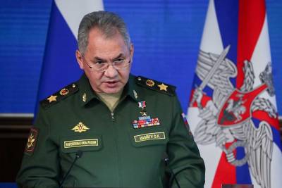 Сергей Шойгу - Шойгу принял участие в открытии Аллеи Союзников в подмосковной Кубинке - vm.ru - Московская обл. - Московская область