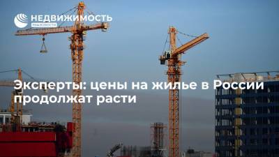 Владимир Путин - В рейтинговом агентстве НКР заявили, что цены на жилье в России продолжат расти - realty.ria.ru - Москва - Россия