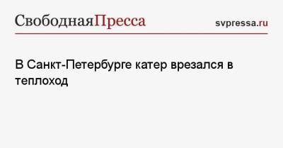 В Санкт-Петербурге катер врезался в теплоход - svpressa.ru - Красноярский край - Санкт-Петербург - Красноярск