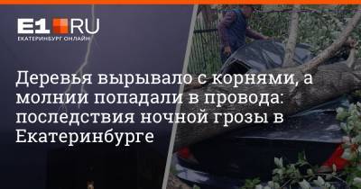 Деревья вырывало с корнями, а молнии попадали в провода: последствия ночной грозы в Екатеринбурге - e1.ru - Екатеринбург