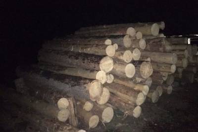 Жители Бурятии нарубили деревьев на уголовную статью - ulan.mk.ru - респ.Бурятия - район Мухоршибирский