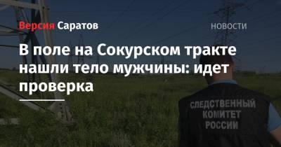 В поле на Сокурском тракте нашли тело мужчины: идет проверка - nversia.ru - Саратовская обл. - Саратов