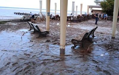 Потоп в Ялте: сбежавшие с фермы крокодилы покусали военного РФ - rusjev.net - Крым