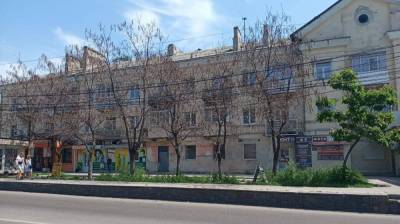 В Воронеже у многоэтажки неизвестные просверлили деревья - vestivrn.ru - Воронеж
