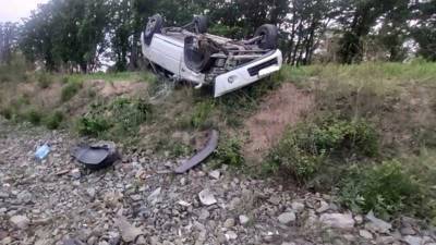 В ДТП из-за клеща пострадали три человека (ФОТО) - newdaynews.ru - Приморье край
