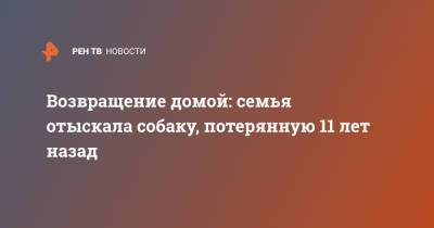 Возвращение домой: семья отыскала собаку, потерянную 11 лет назад - ren.tv - Англия - Великобритания