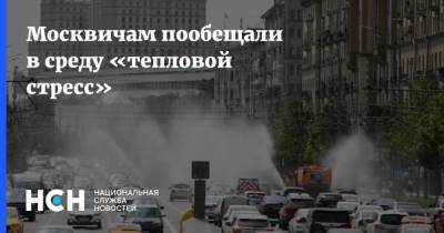 Москвичам пообещали в среду «тепловой стресс» - nsn.fm - Москва - Санкт-Петербург - Краснодар - Воронеж - Нижний Новгород - Ростов-На-Дону - Волгоград - Самара - Ярославль - Ижевск