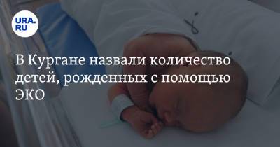 В Кургане назвали количество детей, рожденных с помощью ЭКО - ura.news - Курганская обл. - Курган