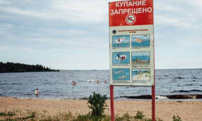 Владимир Любарский - Для открытия пляжа в Петрозаводске необходимо 7 миллиардов рублей: денег нет - gubdaily.ru - Петрозаводск - республика Карелия