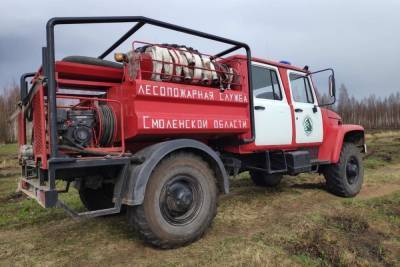 Лесной пожар на площади в 5,7 га ликвидировали в Смоленской области - mk-smolensk.ru - Смоленская обл.