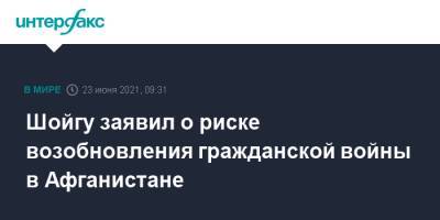 Сергей Шойгу - Шойгу заявил о риске возобновления гражданской войны в Афганистане - interfax.ru - Москва - Афганистан