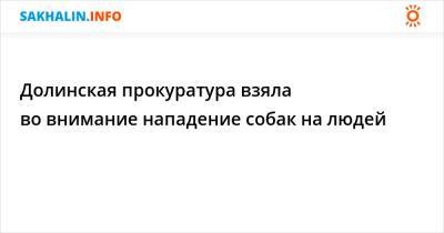 Долинская прокуратура взяла во внимание нападение собак на людей - sakhalin.info - район Долинский