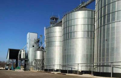 Ristone Holdings готов инвестировать $6-7 млн в удвоение мощностей МЭЗа - agroportal.ua