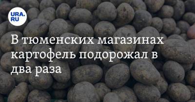 В тюменских магазинах картофель подорожал в два раза - ura.news - Тюмень
