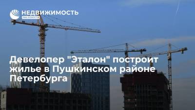 Девелопер "Эталон" построит жилье в Пушкинском районе Петербурга - realty.ria.ru - Москва - Санкт-Петербург - Строительство