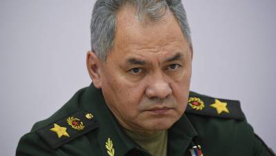 Сергей Шойгу - Шойгу напомнил о предложенных Европе идеях деэскалации - gazeta.ru