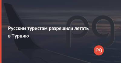 Татьяна Голикова - Русским туристам разрешили летать в Турцию - thepage.ua - Москва - Россия - Турция - Стамбул